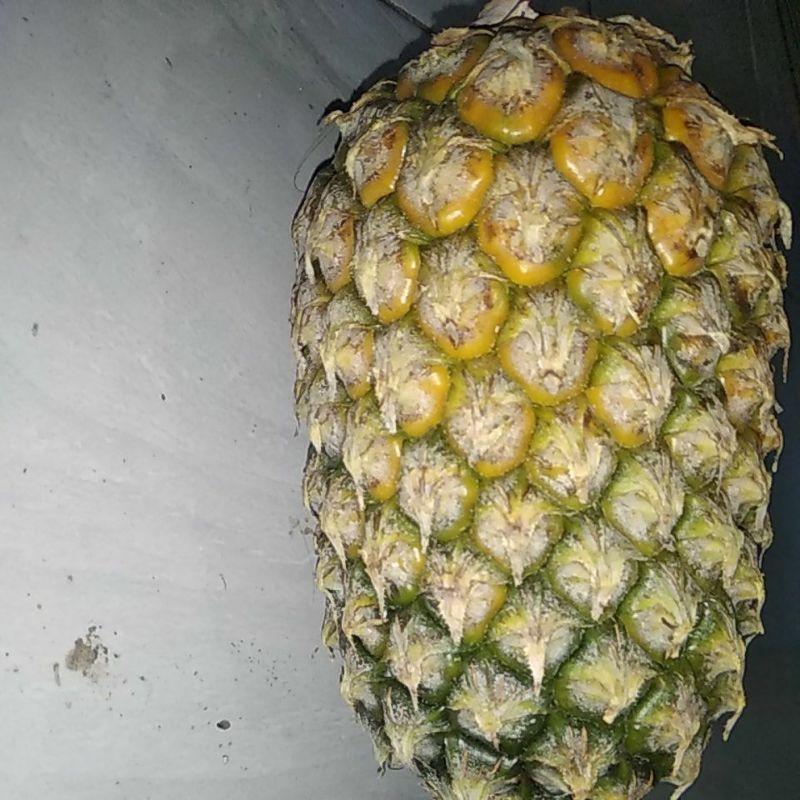 

nanas