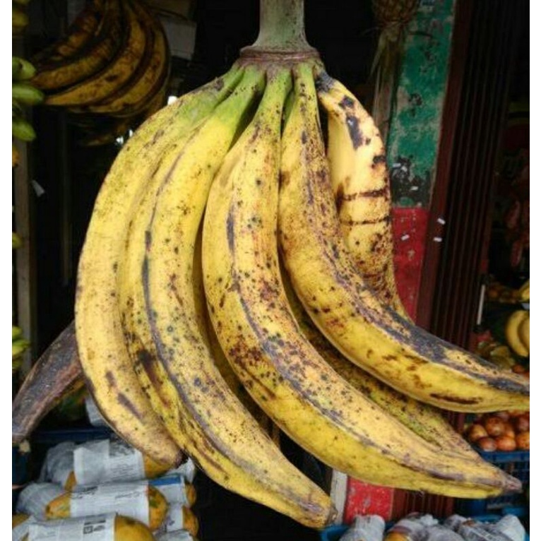 

pisang tanduk 1biji