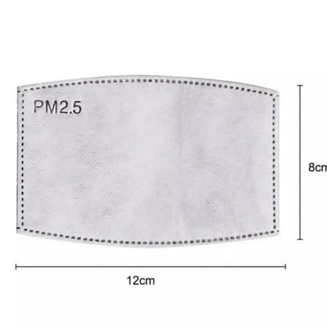 STAR Filter Masker Pm 2.5 Dewasa Hepa Filter N95 Per 2 Lembar bisa bowin