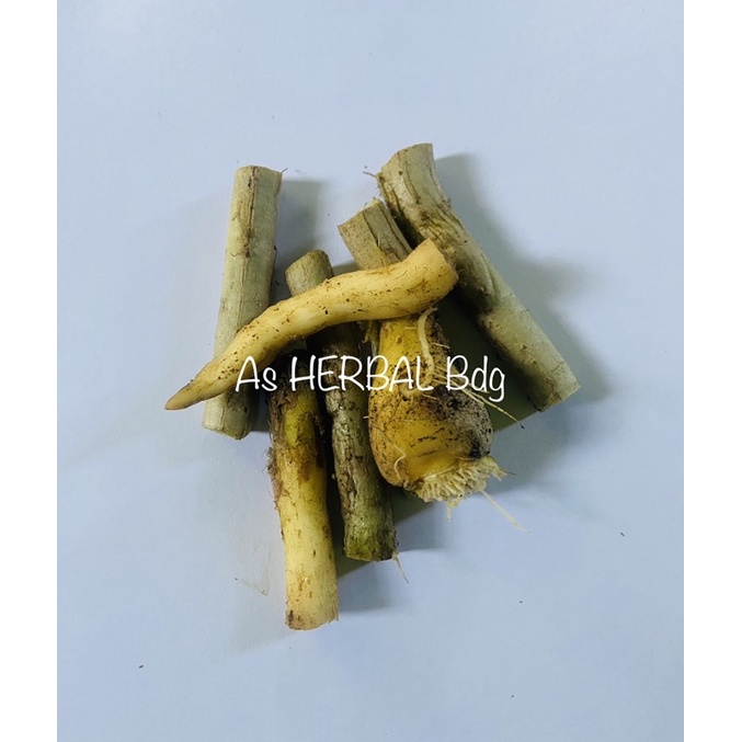 

Akar daun pandan / akar pandan wangi segar-az