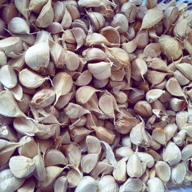 

Bawang putih