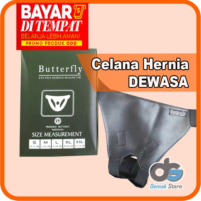  CELANA  HERNIA DEWASA CELANA  HERNIA BUTTERFLY CELANA  