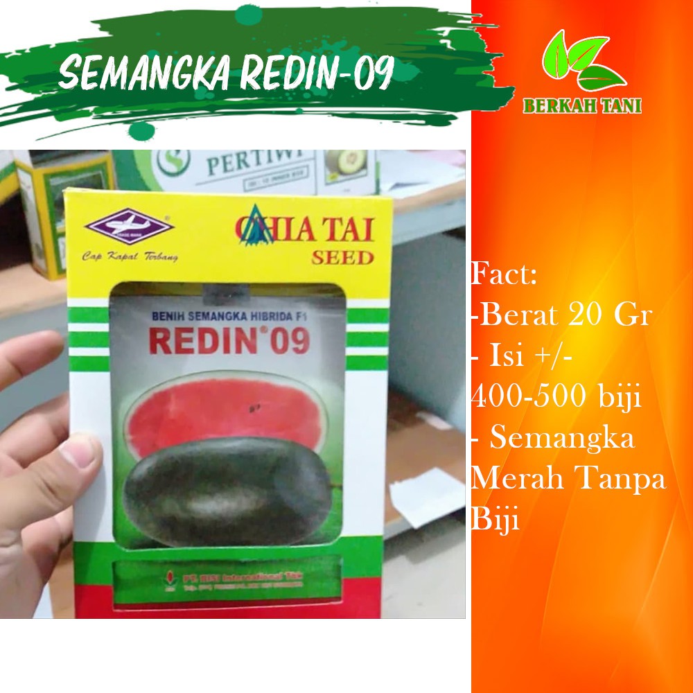 Benih Biji Semangka Inul Redin 09 20 Gram isi 600 biji