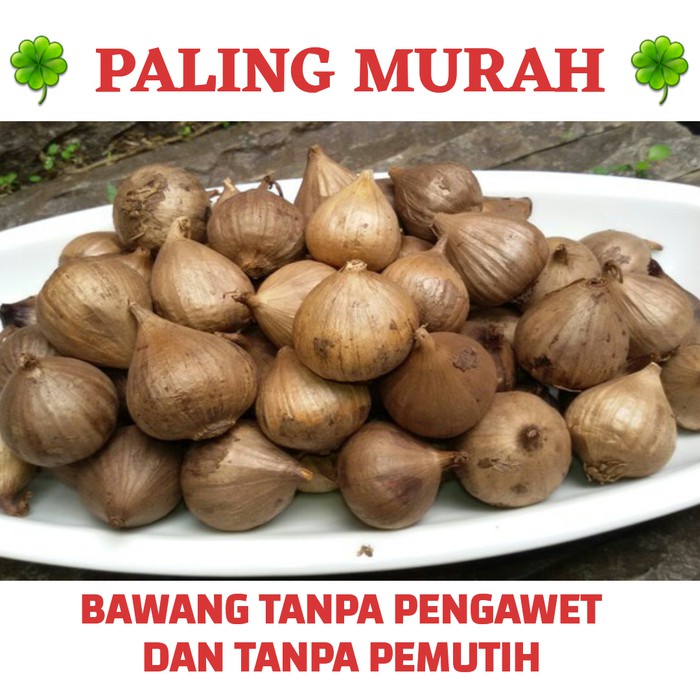 

Promo Bawang Hitam Tunggal / Bawang Hitam Lanang 1 Kg (PALING MURAH !)