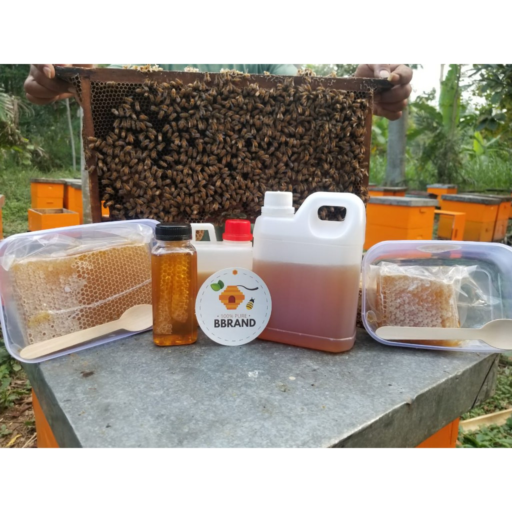 [350 g] RAW HONEY ASLI