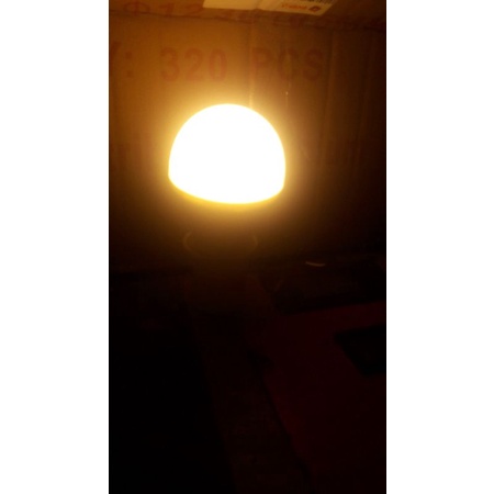 lampu led philip 10w seken khusus wrna kuning