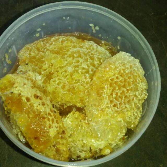 

SARANG LEBAH PLUS MADU 1 KG