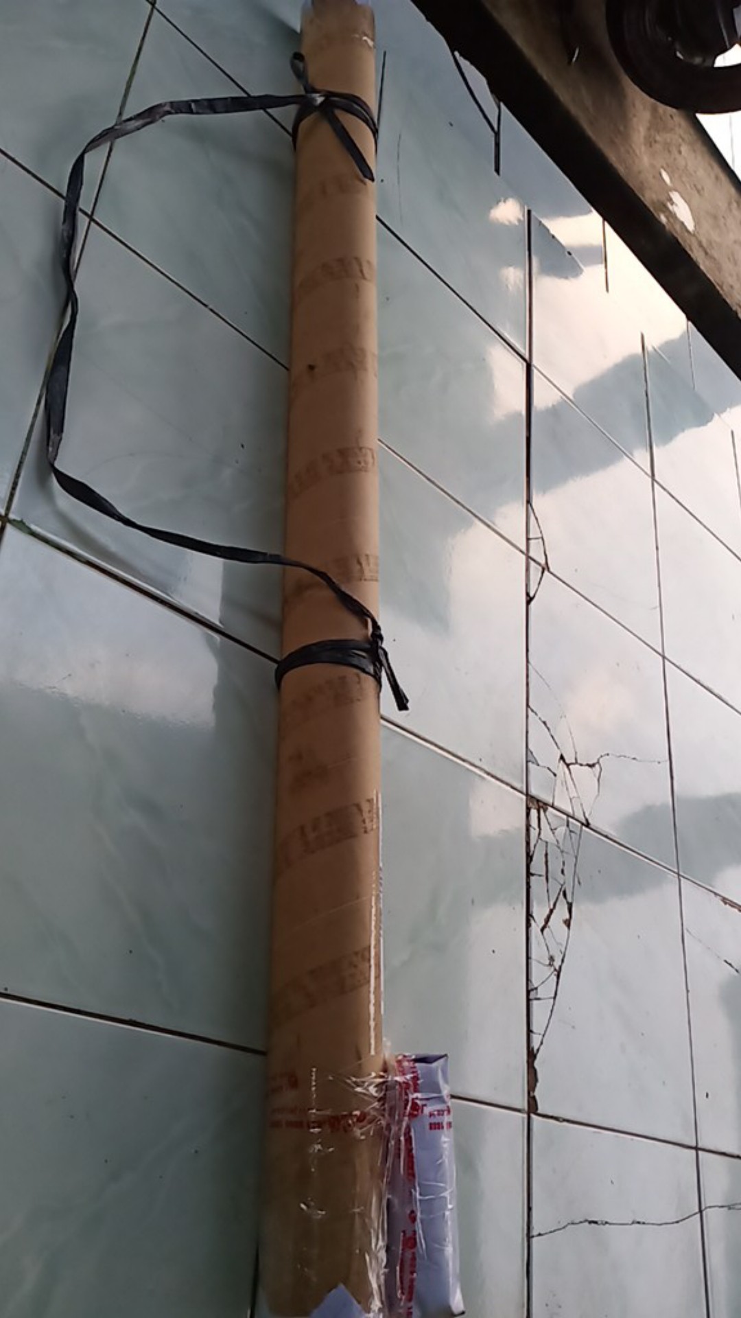 Pembersih Jamur Kaca