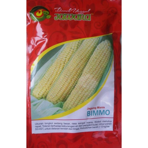 jagung manis jawara bimmo 50gr