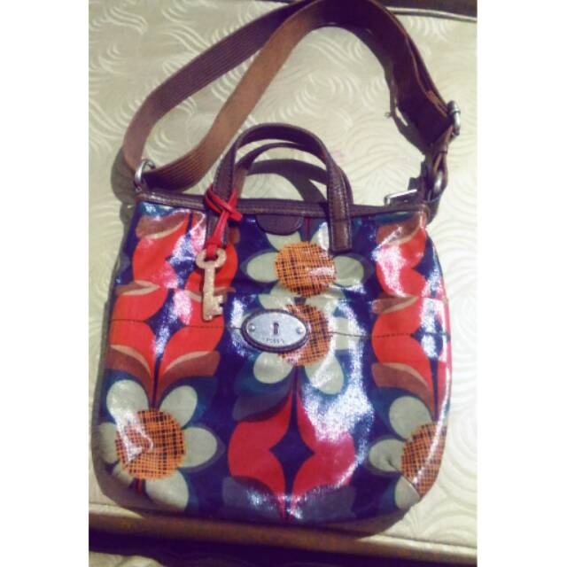 Tas fossil second