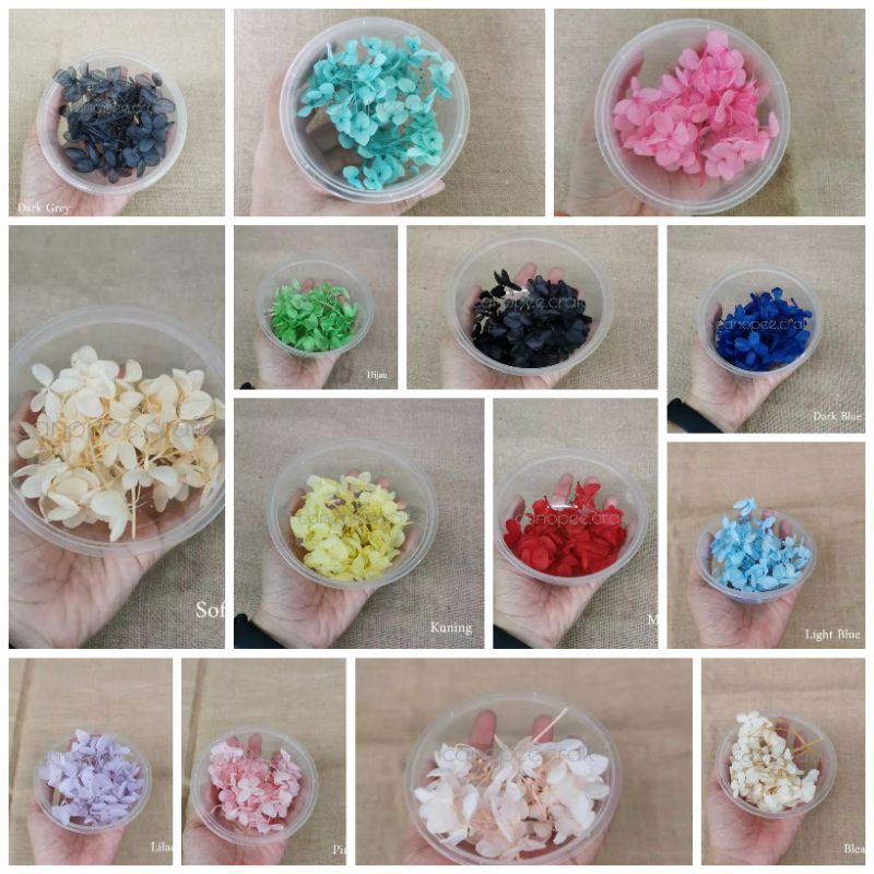Bunga Kering Preserved Hydrangea