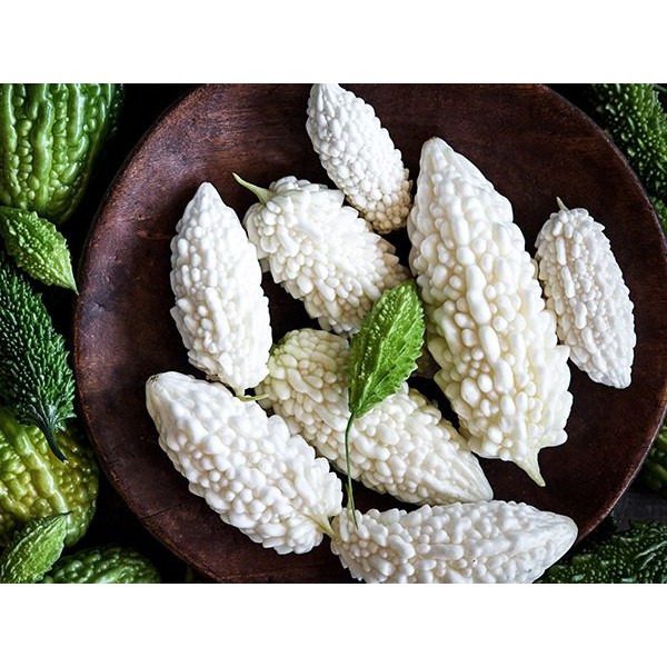 Benih Bibit Biji - Pare Putih Susu Jyunpaku Okinawa Pure White Bitter Melon Seeds - Pare Tidak Pahit! Rasa Manis