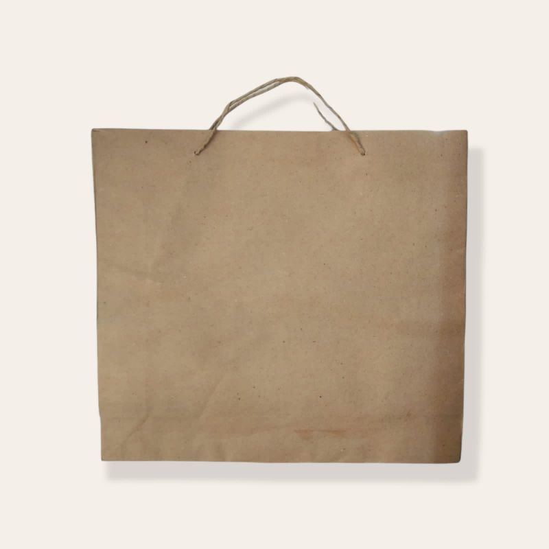 

PAPER BAG BIY POLOS