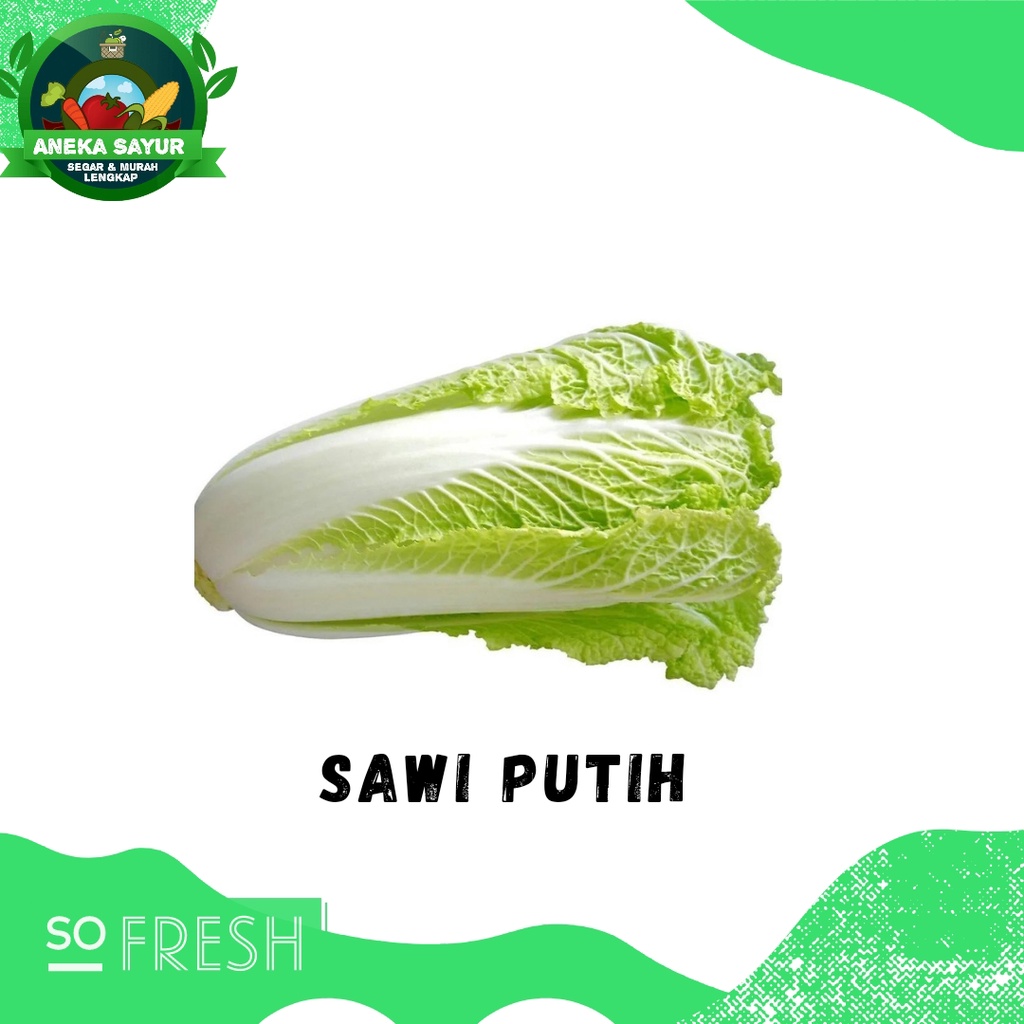 

Sawi Putih