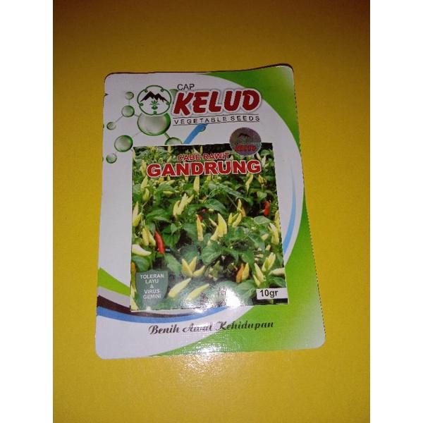Benih Cabe Rawit Kelud Gandrung 10gr