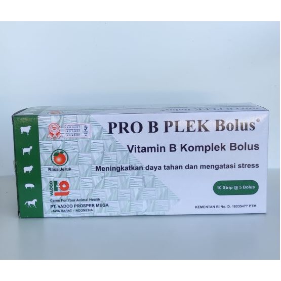 PRO B PLEK BOLUS 1 PCS RASA JERUK  - Vitamin B kompleks Hewan Sapi Kambing Domba