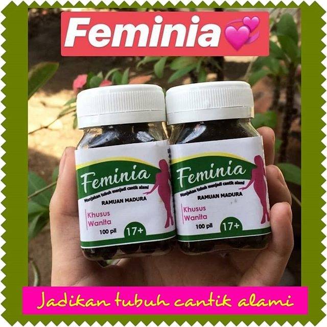 

FEMINIA