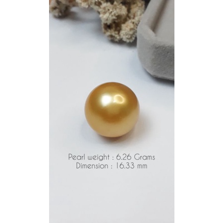 MUTIARA LAUT JUMBO GOLD