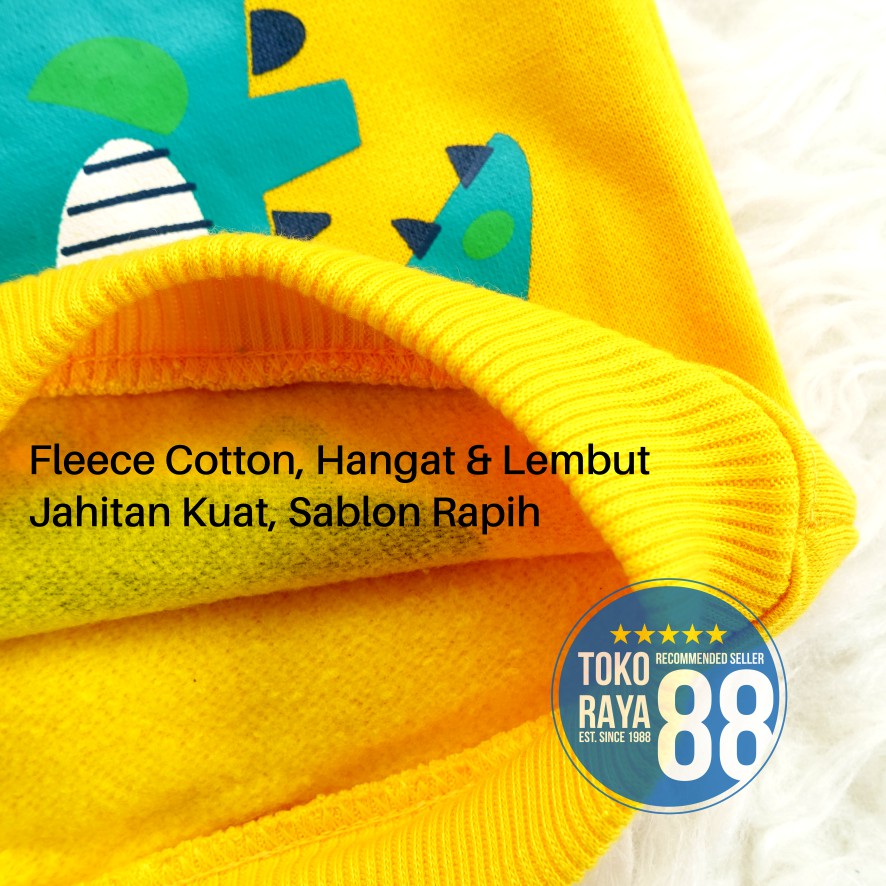 TOKO RAYA 88, Setelan Jaket Bayi Anak 1 - 2 Tahun, Set Sweater Dino, Hangat Murah-7