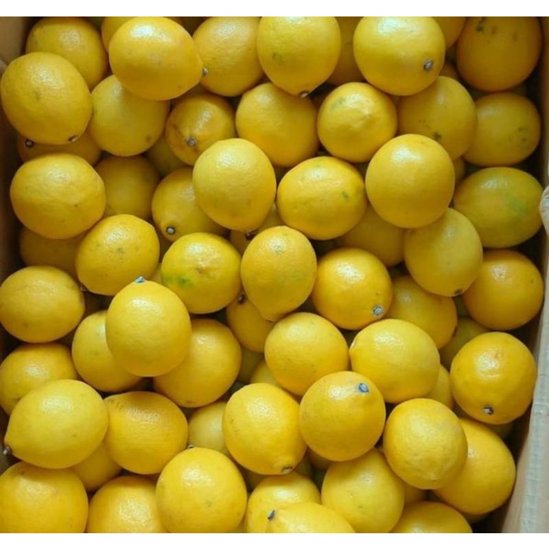 

BUAH LEMON CALIFORNIA LOKAL FRESH GROSIR 1KG