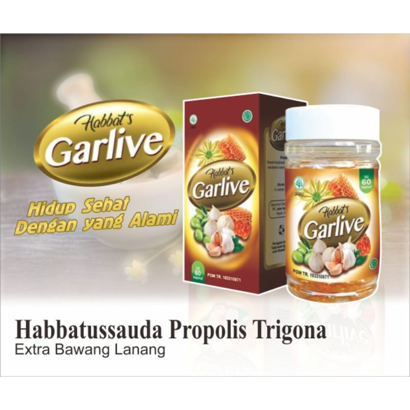 

Garlive harga spacial