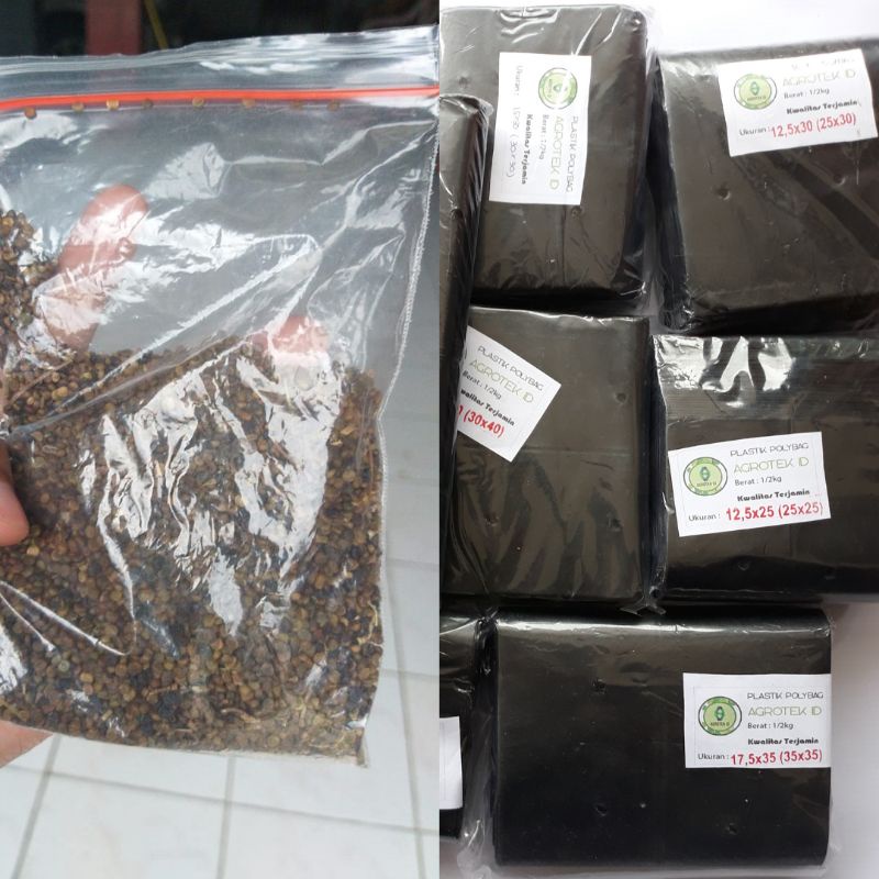 Benih Indigofera + Polybag Paket Murah Siap Tanam