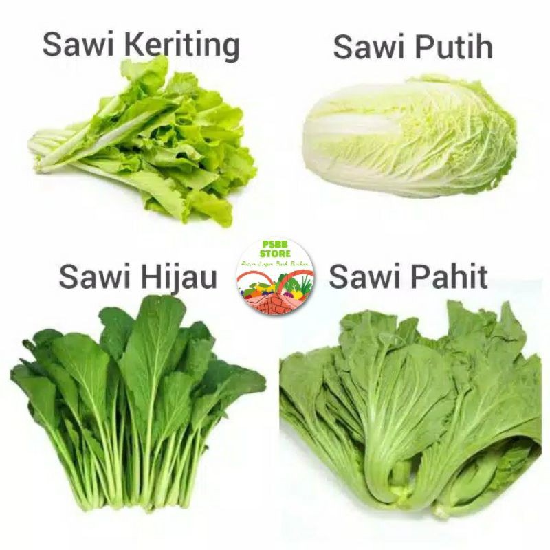 

Sayur Sawi Putih / Sawi Hijau / Sawi Pahit / Caisim / Sawi Keriting - Per Pack