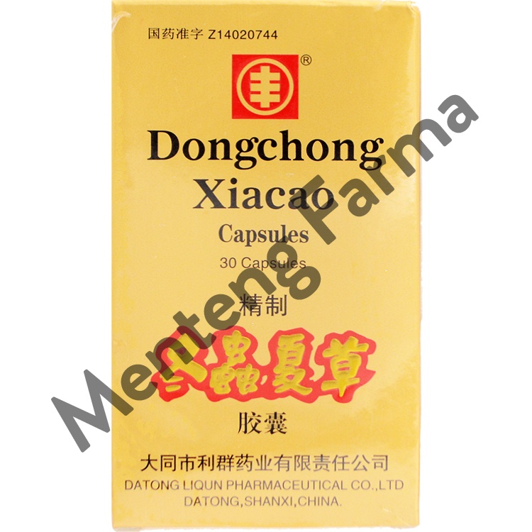 Dongchong Xiacao (Cordyceps) - Suplemen Kesehatan Paru-Paru