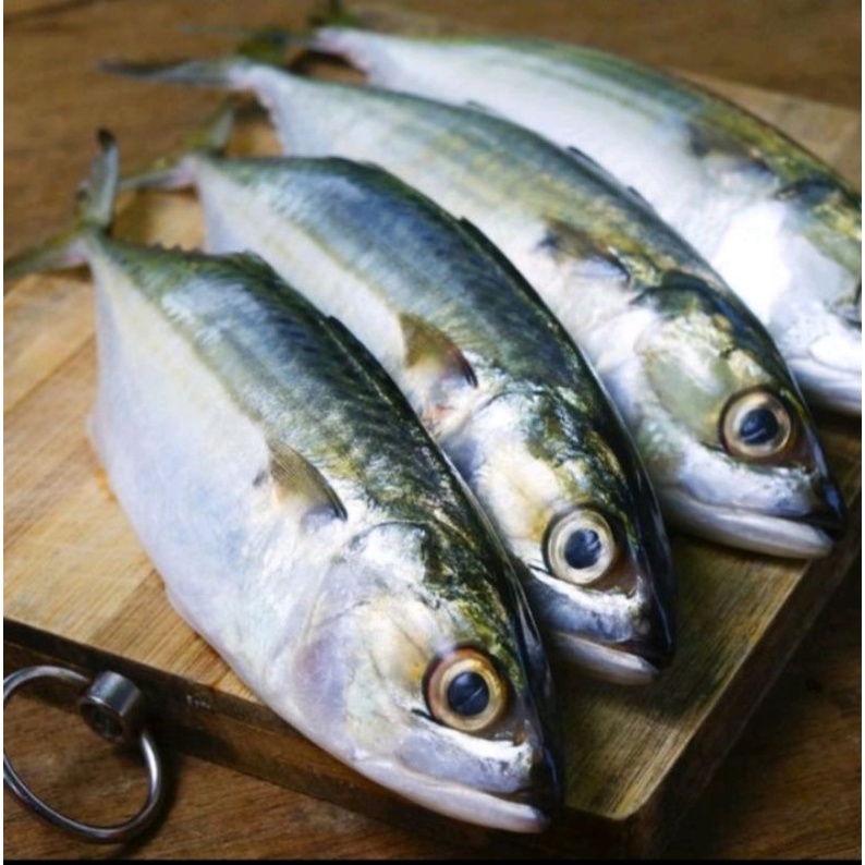 

ikan kembung segar 500 gr