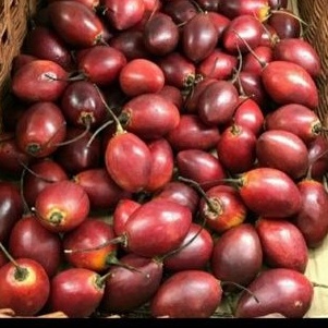 

Terong belanda fresh 1 kg