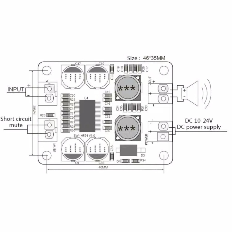 PA3118 BTL 60W Mono Digital Audio Amplifier Board