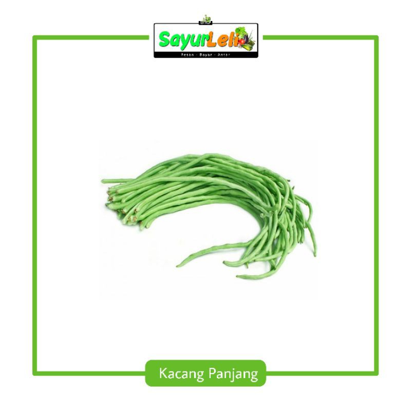 

KACANG PANJANG