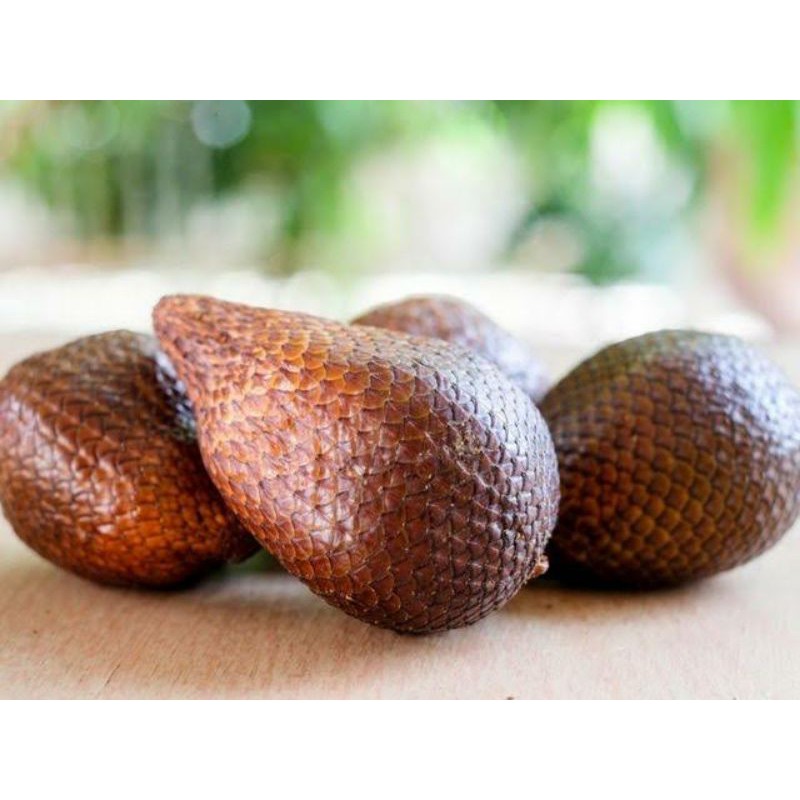 

Buah salak/Salacca zalacca/Salak pondoh