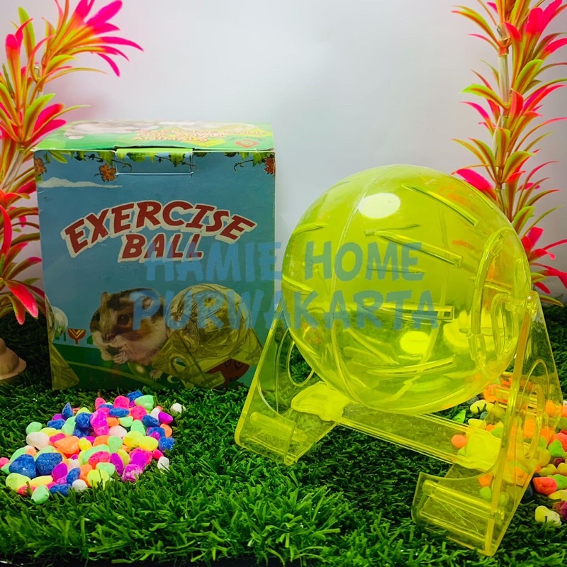 EXERCISE BALL HAMSTER (BOLA HAMSTER)
