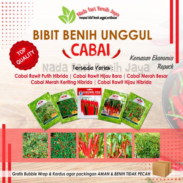 Benih cabe rawit - bibit cabe keriting - Benih cabe merah besar - Benih cabe rawit setan unggulan