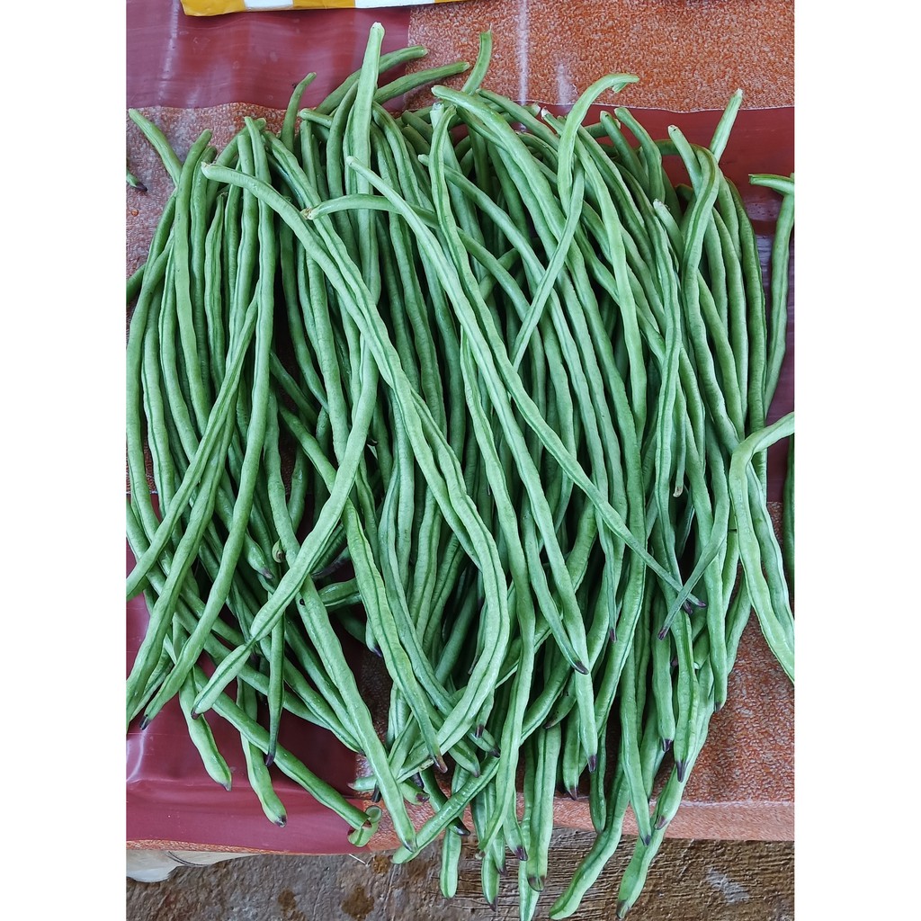 

kacang panjang isi (manis) 500 gram petik langsung