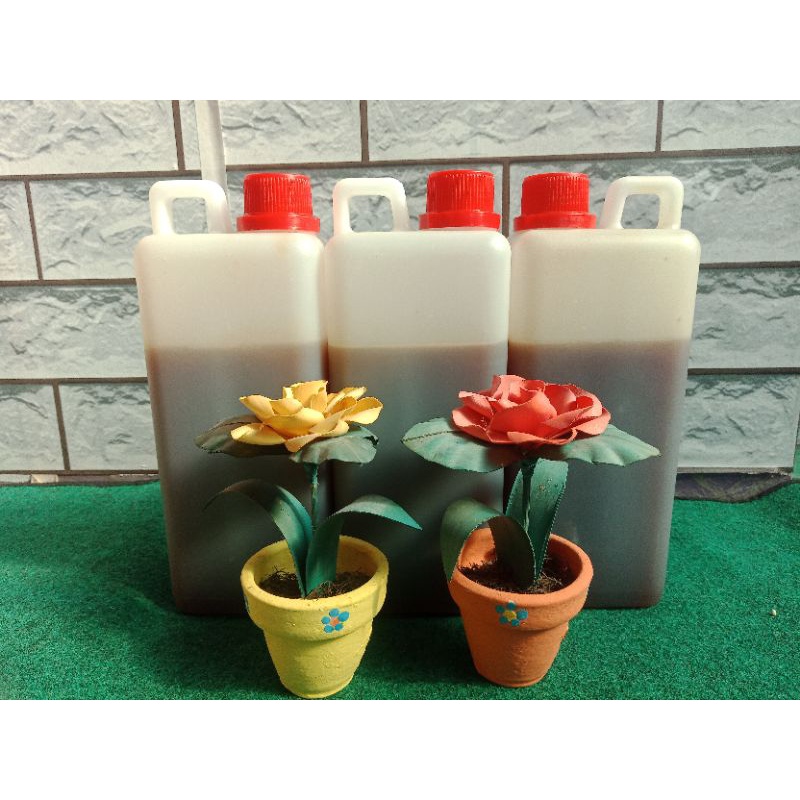 

Madu Klanceng