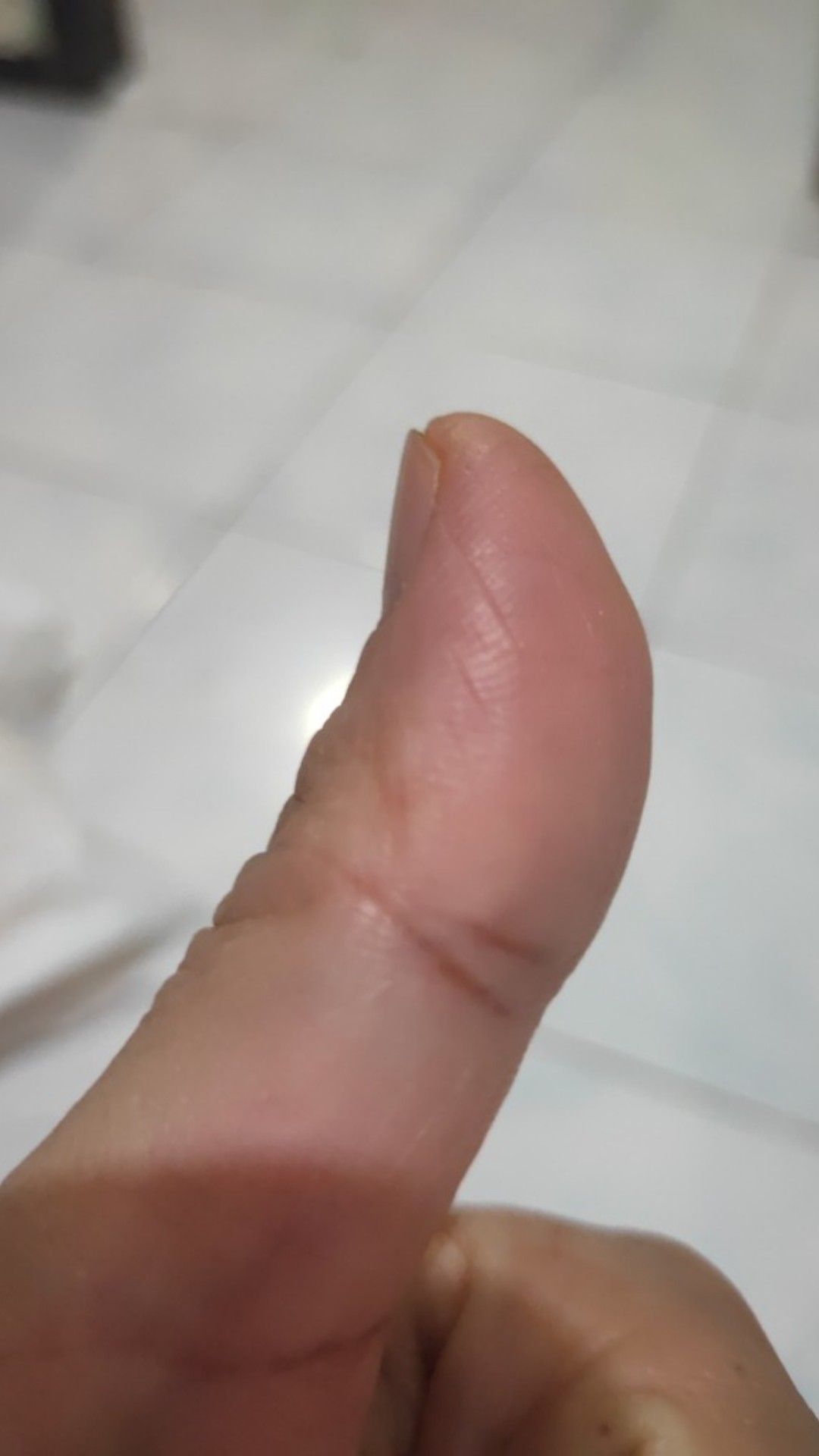 [free Dus & Free Bubblewrap] Kolase Biji Bingkai Foto Dari Kardus Bekas 4r Dengan Mika