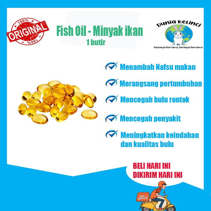 BONUS MINYAK IKAN