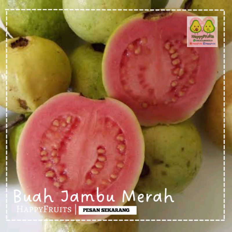 

BUAH JAMBU BIJI MERAH HAPPYFRUITS 1KG