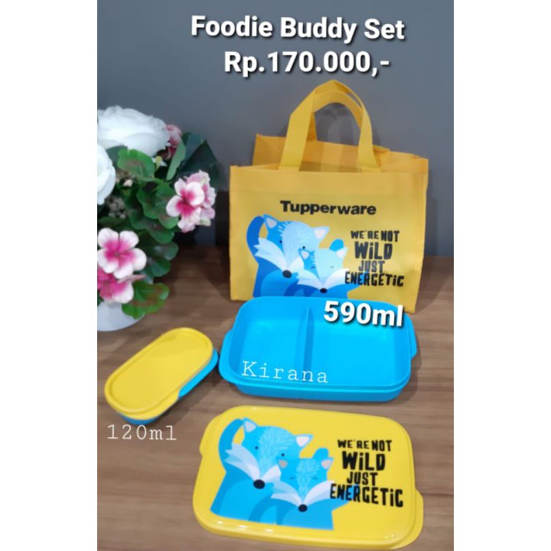 tupperware foodie buddy set