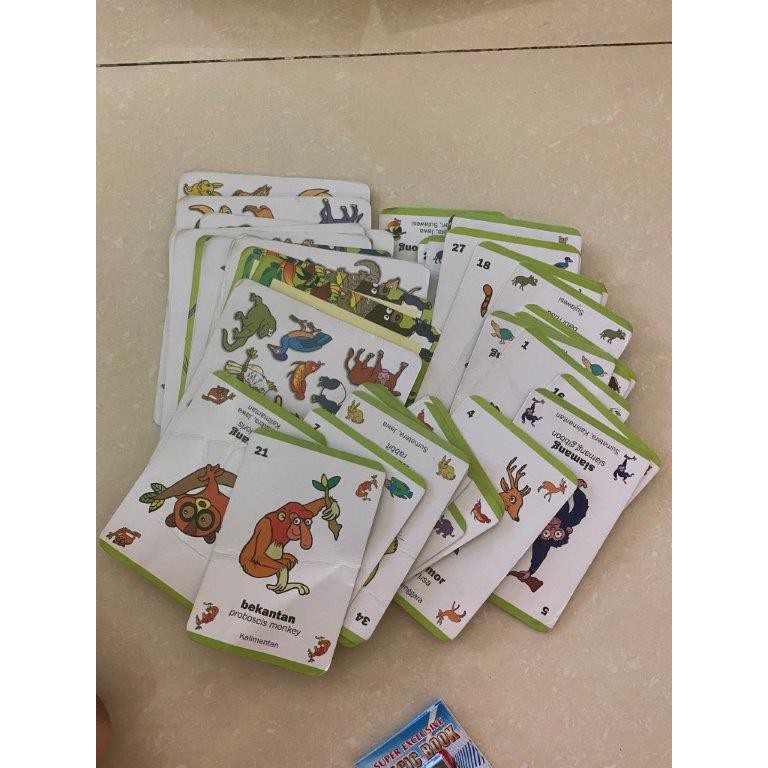 Mainan flashcard anak flashcard binatang langka mainan kartu flashcard animals