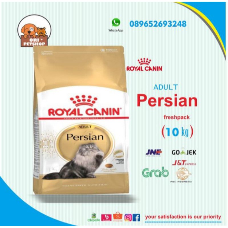 Ekpedisi Only royal canin persian adult 10 kg