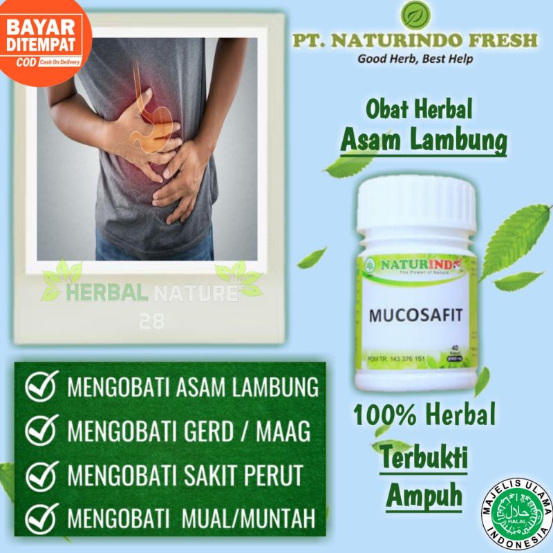 Obat Lambung Asam lambung Obat Herbal Saluran Pencernaan Naturindo fit