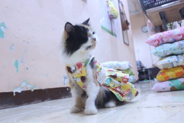 Dress kuning motif gambar kucing lucu untuk kucing dan anjing / baju kucing murah size S M L XL