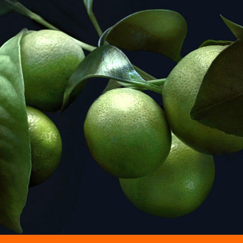 

Bibit Parfum Lambda Bergamot Fragrance Oil 100cc