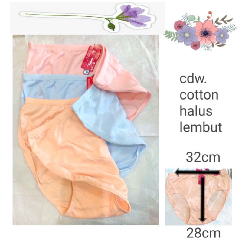 Celana dalam wanita | cd wanita polos | honiting