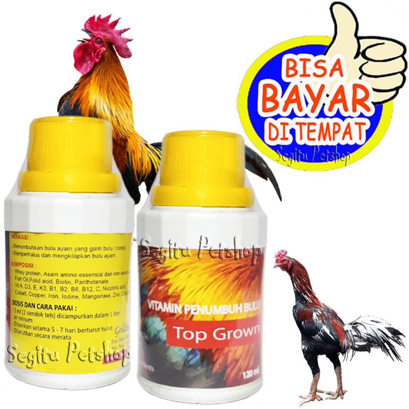 VITAMIN BULU AYAM PENUMBUH JAGO BANGKOK BULU ITIK TOP GROW