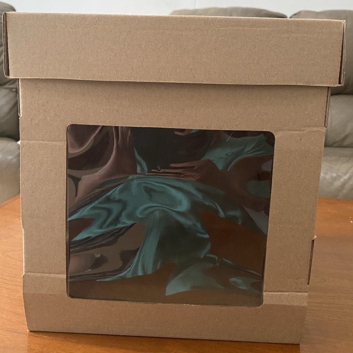 

Dus Bon Apetit Corrugated 20x20x20 cm cake box kue