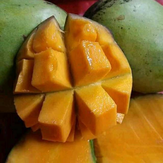 

Mangga Indramayu Super 1 Kg Fresh